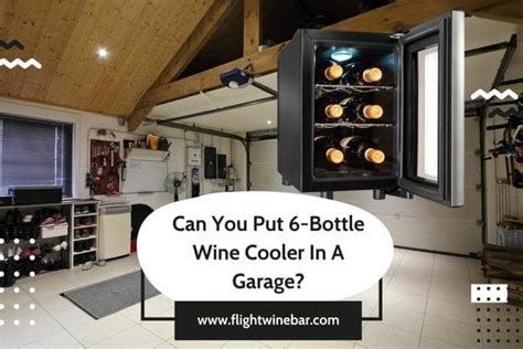 Top 6 Best 6 Bottle Wine Cooler Reviews And Comparison 2023