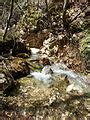 Category:Nature in Vevčanski izvori - Wikimedia Commons