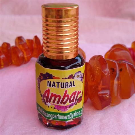 Ambre, parfum divin