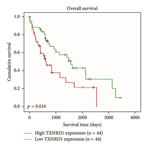 Txnrd Was Overexpressed In Hcc Tissues And Patients With High Txnrd