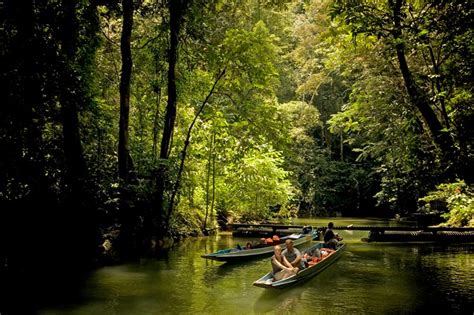 Unveil Top 10 National Parks in Malaysia: Nature's Best