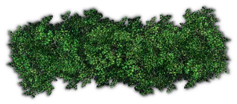 Shrub Bushes PNG Transparent Images PNG All