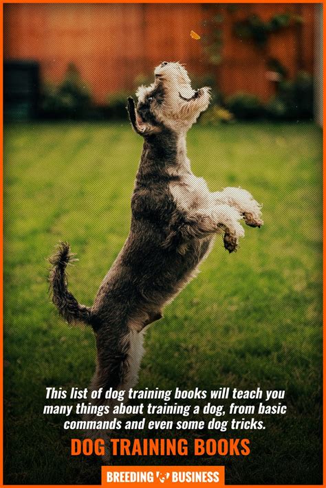 10 Best Dog Training Books – Positive Reinforcement, Obedience & FAQs