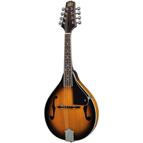 Rogue Rm 100a A Style Mandolin Folkmusician