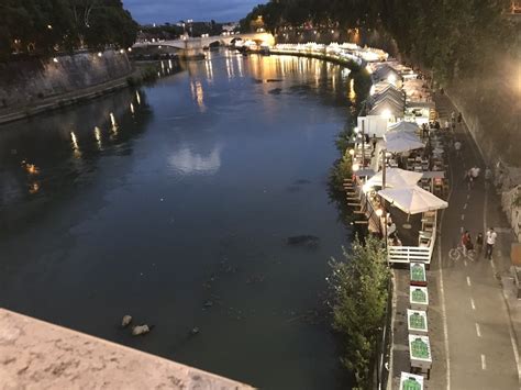 Riverside Market Lungotevere Gianicolense Roma Italy Public