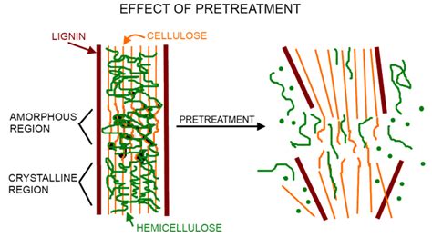 Schematic Of Pretreatment Of Lignocellulosic Biomass Adapted From 8