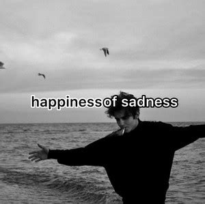 Happiness Of Sadness POST PUNK LO FI COLD WAVE DREAMPOP SYNTH DARK