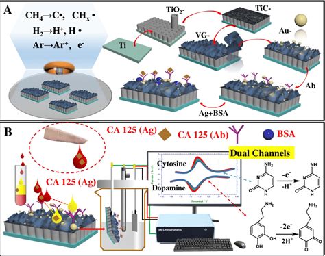 Schematic Of Dual Channel Label Free Immunosensor A Preparation Of The