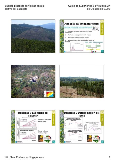 Selvicultura Del Eucalipto Pdf