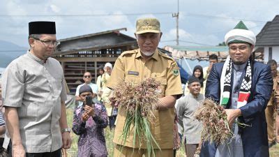 Panen Perdana Bawang Merah Mahyeldi Apresiasi Inovasi Komunitas Moslem