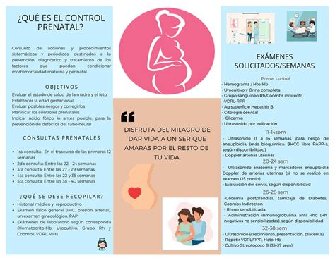 Folleto Sobre Control Prenatal Esquemas Y Mapas Conceptuales De