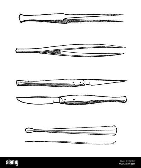 Pinza De Diseccion Dibujo Fotografías E Imágenes De Alta Resolución Alamy