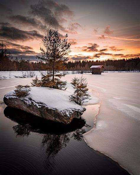 A Lone Tree Sits On Top Of A Rock In The Middle Of A Frozen Lake