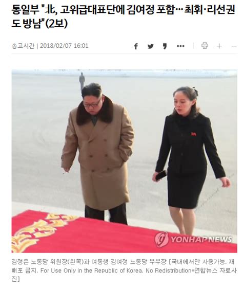 外媒：金正恩胞妹金与正将出席平昌冬奥会开幕式 新闻中心 杭州网