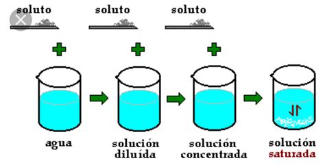 Dibujo De Soluci N Solvente Brainly Lat