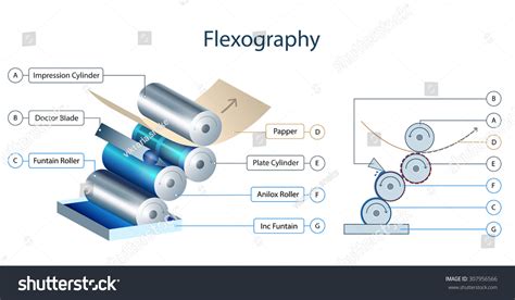 12 Flexo printing press Stock Vectors, Images & Vector Art | Shutterstock