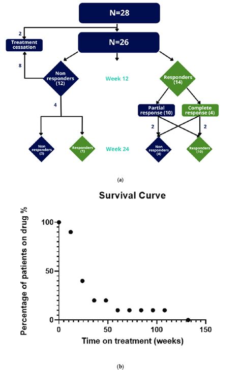 Methotrexate Treatment Outcomes A Chart Illustrating Mtx Treatment