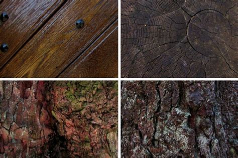 Wood Textures Masterbundles