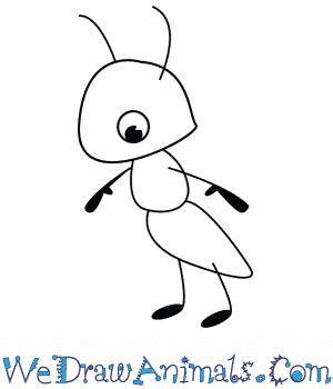 Cute Ant Drawing