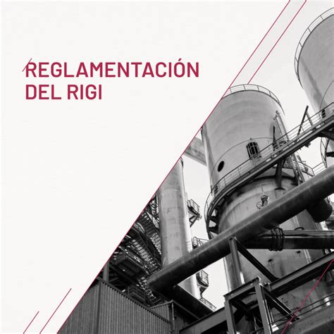 Reglamentaci N Del Rigi Vigencia E Implementaci N Mitrani Caballero