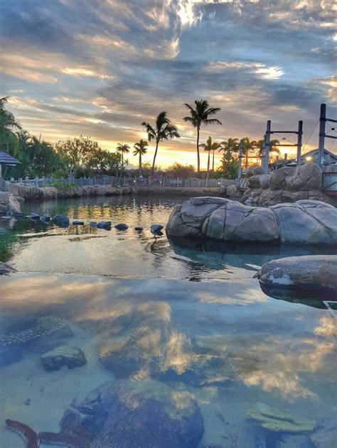 Sunset At Seaworld Gold Coast Australia ♡ Coast Australia Gold