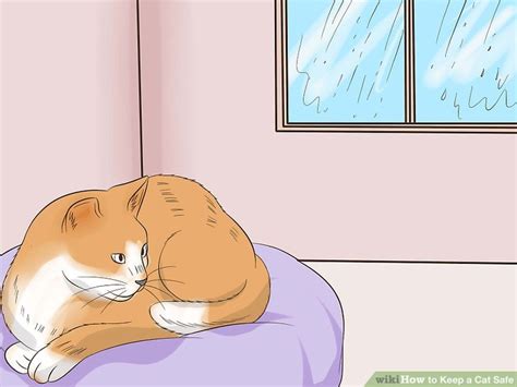 Ways To Keep A Cat Safe Wikihow