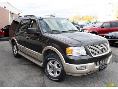 2006 Dark Stone Metallic Ford Expedition Eddie Bauer 4x4 21369340 Photo 3 Car