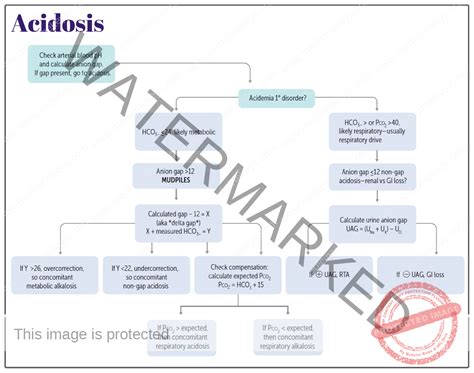 Metabolic Acidosis Algorithm