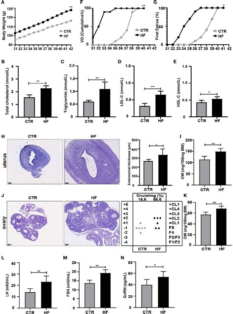 Figure From Gut Microbiota And Its Derived Scfas Regulate The Hpga To