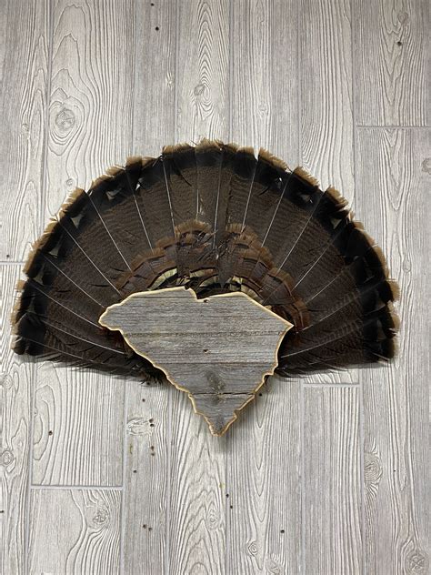 South Carolina Turkey Fan Display Plaque Custom Outdoor Advantage