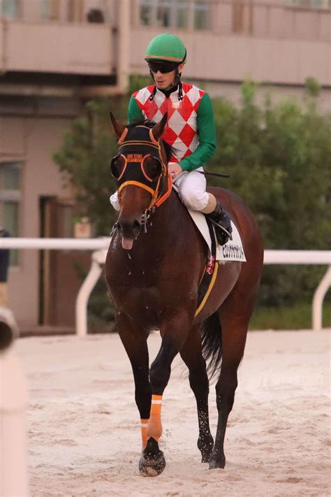 大井の矢野貴之騎手が骨折から復帰後初勝利「ホッとしたという気持ちが一番」／大井5r 地方 競馬写真ニュース 日刊スポーツ