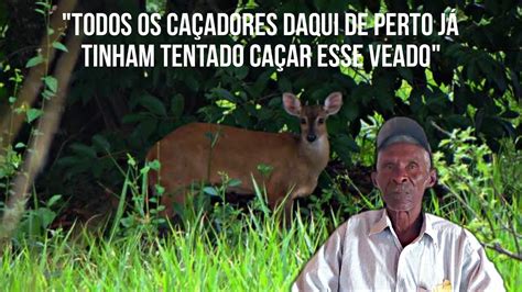 História de caçador Caça ao veado encantado caçador caatinga