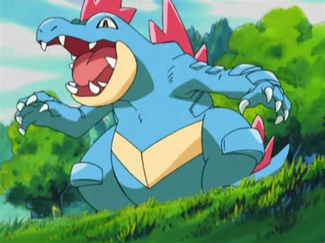 Bulbapedia Feraligatr 160 Water pokémon Pokemon Pokemon stories