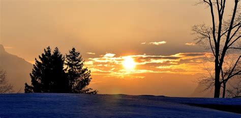 Free fotobanka krajina strom Příroda horizont sníh zima mrak