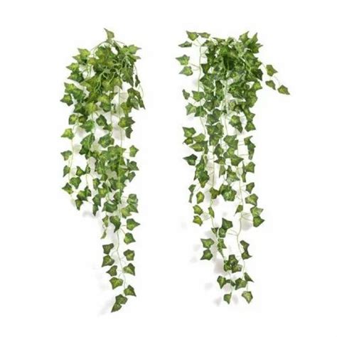 Artificial Plants Green Delicate Leaves Hanging Creeper For Decoration