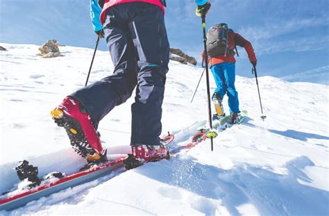 Top 10 Best Backcountry Skis Review 2024 My Trail Co