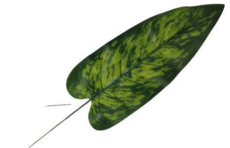 LIŚĆ SZTUCZNY GUMOWANY PODŁUŻNY gałązka 52 cm (CF1-76J) • Cena, Opinie ...