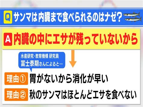 今年も“高嶺の花”の見通し秋の味覚の代表格『サンマ』脂のった身だけでなくほろ苦い内臓まで美味しいワケ 東海テレビnews