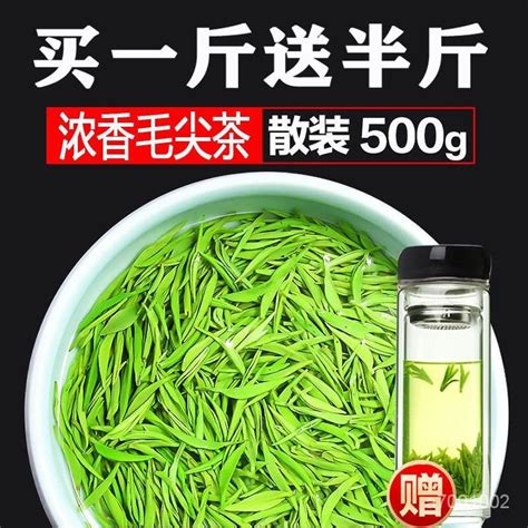 求求優選款 【買一斤送半斤】茶葉2023新茶信陽茶毛尖綠茶茶葉春茶濃香型綠茶 蝦皮購物