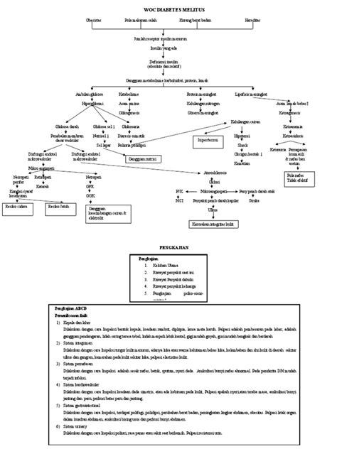 Woc Diabetes Melitus Pdf