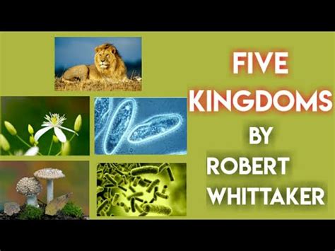 Kingdoms Five Kingdom Classification System Robert Whittaker By