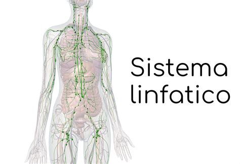 Linfoma Non Hodgkin Cosè Cause Sintomi e Terapia