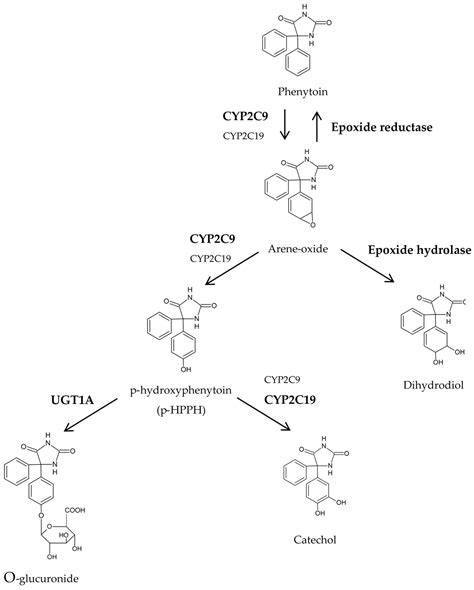 Pharmaceuticals Free Full Text Role Of Cyp C Cyp C And Ephx