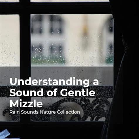 Amazon Musicでrain Sounds Nature Collection Asmr Rain Sounds And Sleepy