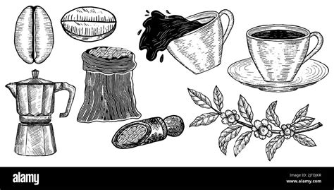 Illustration Elements Coffee Branch Coffee Bean Cup Of Coffee Sack