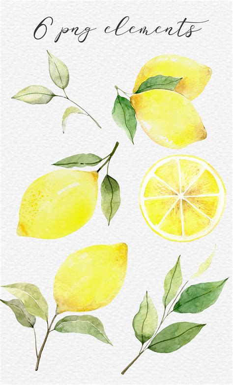 Watercolor Lemon Clip Art Hand Painted Fruit Lemons PNG Etsy