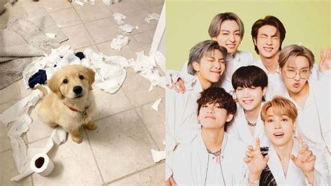 Test de BTS elige un perrito y te diremos a qué integrante le