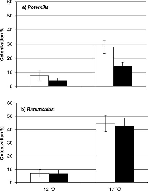 Percentage Root Length Colonized By Glomus Claroideum Hyphae And