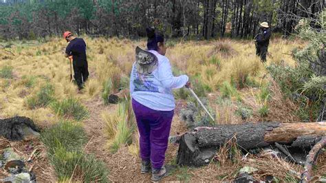 Familiares Reportan Múltiples Errores en Nueva Base de Datos de