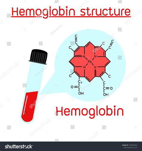 250 Hemoglobin Carbon Dioxide Images Stock Photos Vectors Shutterstock